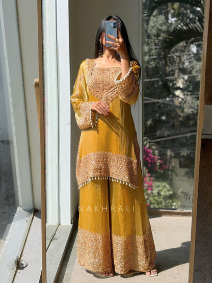 Elegant Embroidered Festive Wear Kurta Set